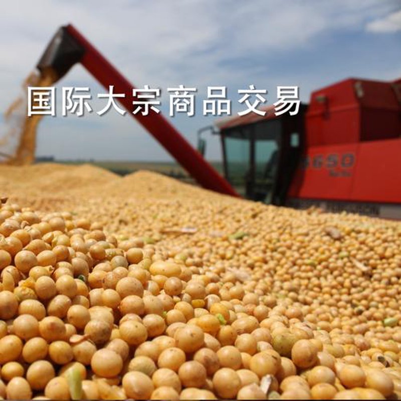 南京中弘贸易
